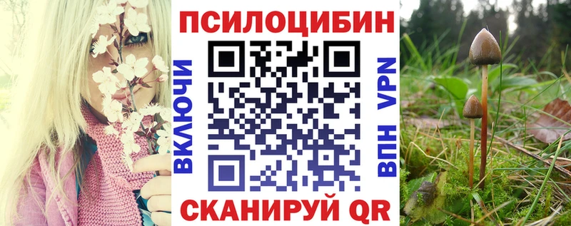 Галлюциногенные грибы Magic Shrooms Дагестанские Огни