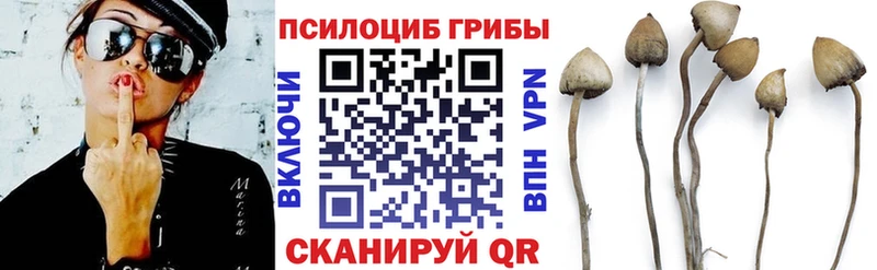 Псилоцибиновые грибы Psilocybe  где можно купить наркотик  Дагестанские Огни 